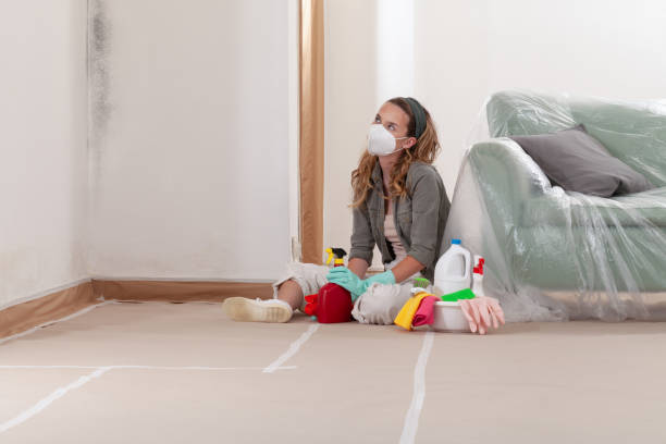 Reliable Mold Removal contractor in Monmouth Junction, NJ by Mold Remediation HQ